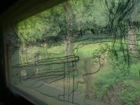 drawings on acetate from inside the bird hides and collaborative drawings