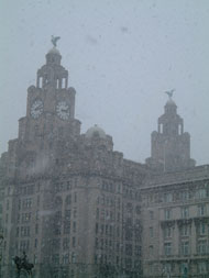 Looking back at the Liver buildings with snow