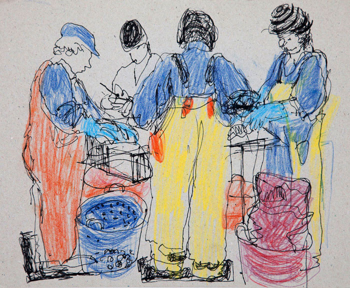 Processing scallops - pen and crayon