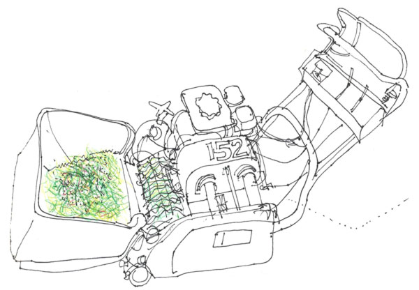 Dennis scarifier