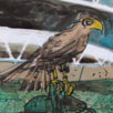 rufus on centre court thumbnail