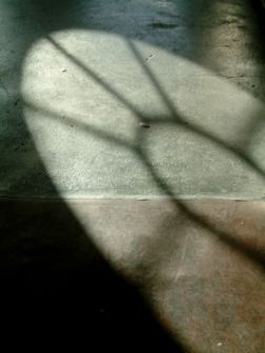 Bluecoat Studio Windows No 1 (Portrait)