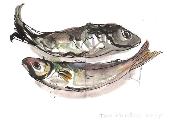 Two little pollock
