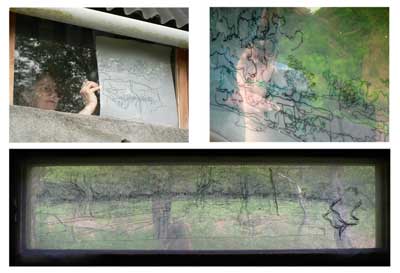 Sally Booth Making transparent drawings from the bird hides at Holton Lee