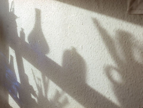 Still Lights Shadow