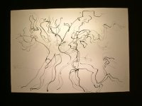 Experimental Light Box from drawings made at Yorkshire Sculpture Park.