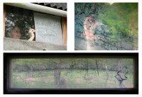 drawings on acetate from inside the bird hides and collaborative drawings
