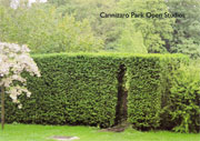 Invitation card for Cannizaro Open Studios