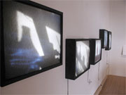 Installation shot of Still Lights light boxes