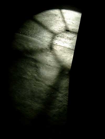 Night Light, Bluecoat, 2009