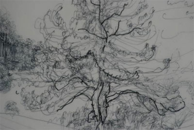 Panoramic drawing detail pen on acetate Holton Lee 2009