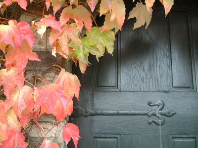Cannizaro Park - the hidden door