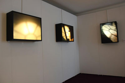 installation shot sally booth artwork