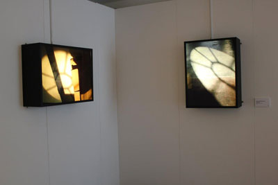 installation shot sally booth artwork