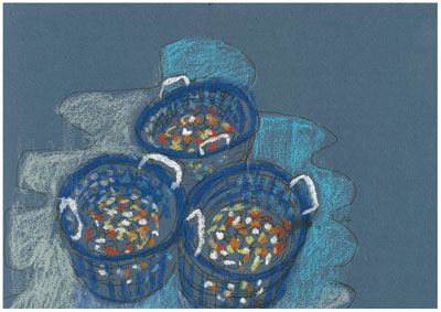 Bucket of scallops