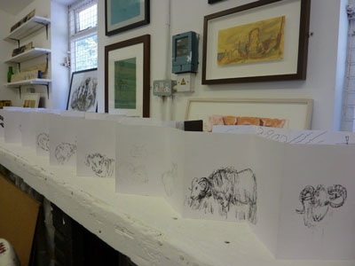 Sheep Sketchbooks